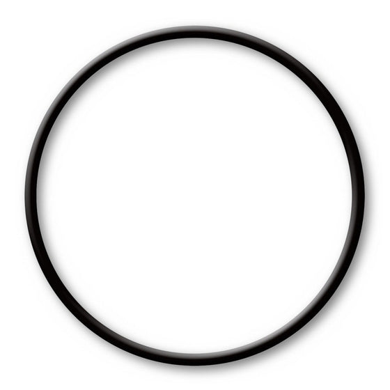 Lid Gasket for Model 87502 & 87503 Automatic Chlorine Feeder (Part 87508)