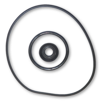 Internal Seal & O-Ring Set for 716061, 719061, 722061, 71916 & 71926 Pumps (Part 71625)