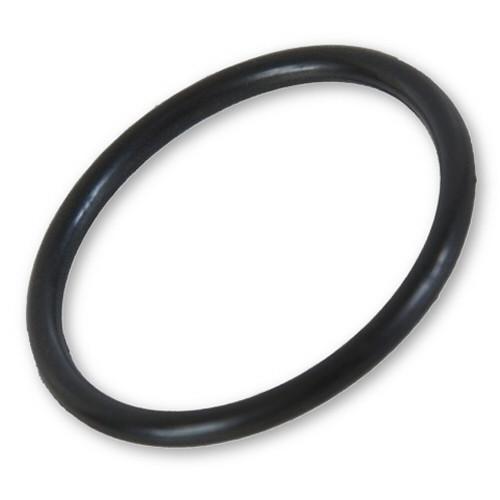 SandPro Filter Systems #4T2013 Replacement Tank Drain Plug O-Ring