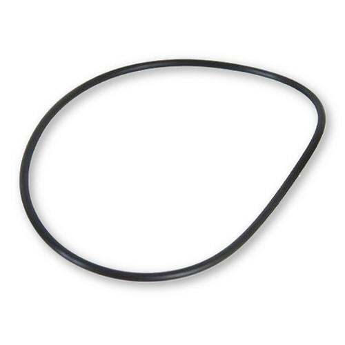 SandPro Filter Systems #4P6019 Replacement Motor/Pump O-Ring