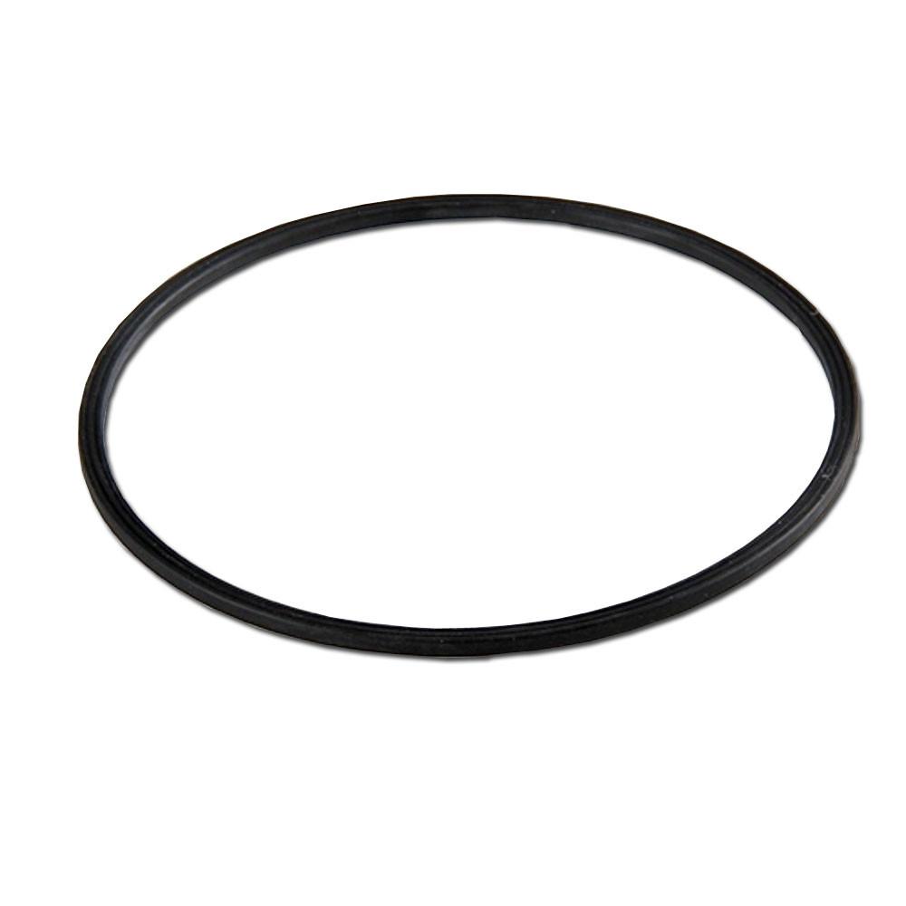 Summer Waves Motor Seal Gasket for SFX/RX 600 & 1000 GPH Filters